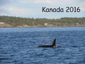 Kanada 2016
